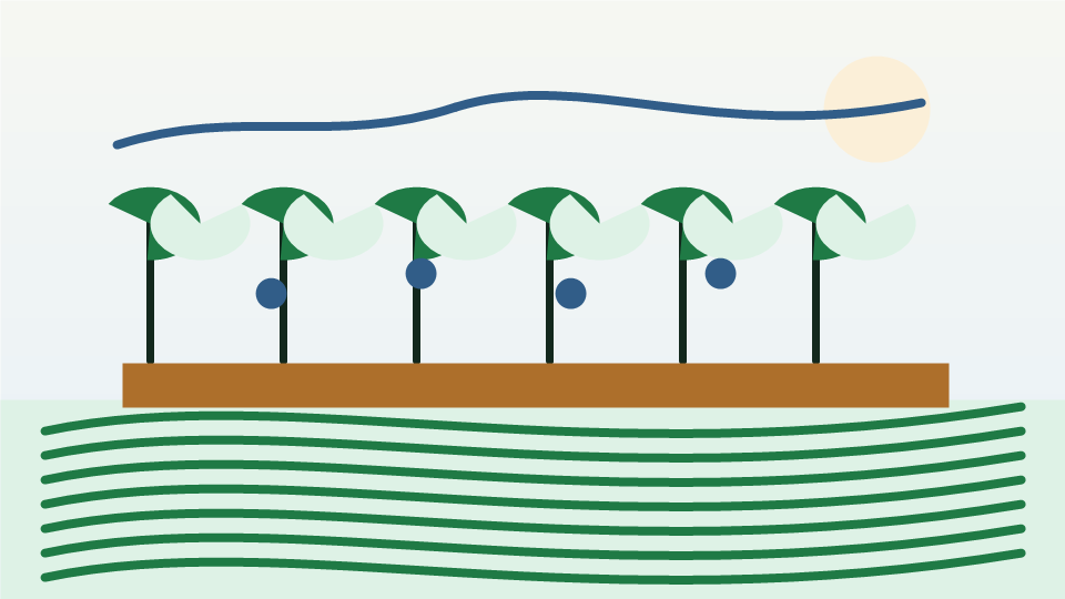Schéma pédagogique montrant un paysage agricole avec haies, arbres, cultures et éléments de biodiversité.